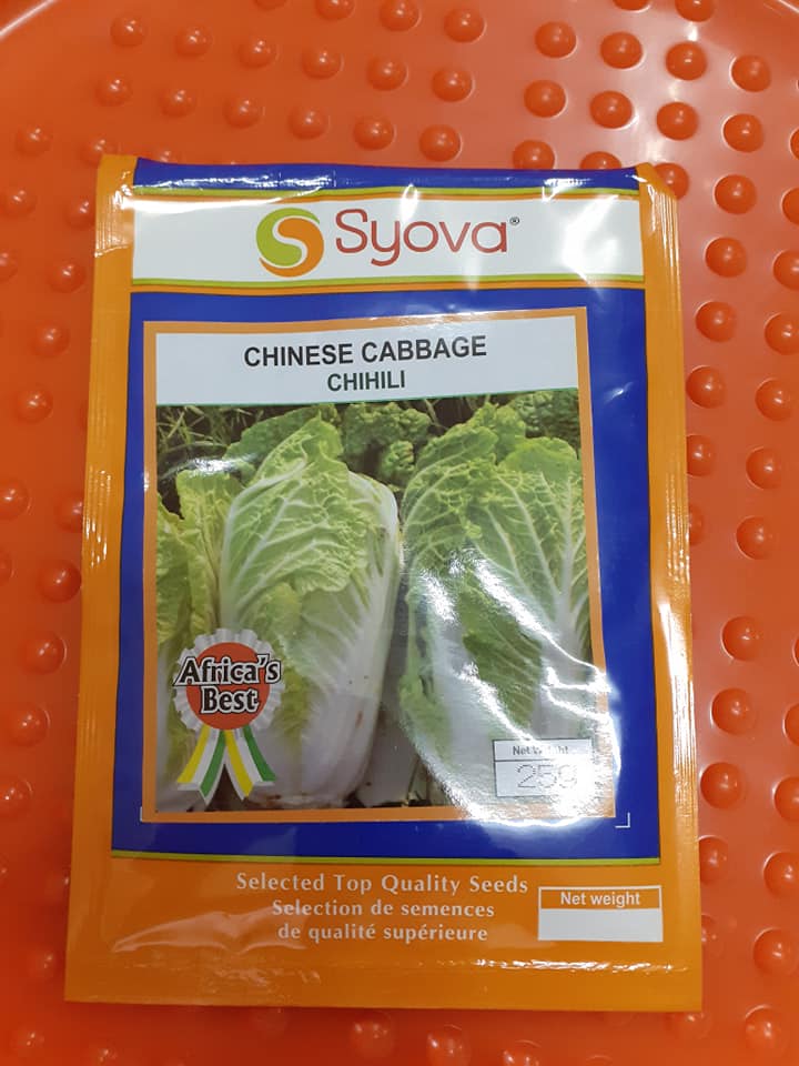 Chinese Cabbage