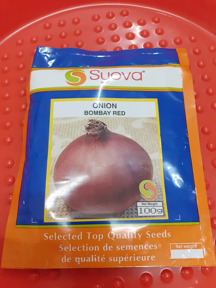 Onion Seeds (RED)