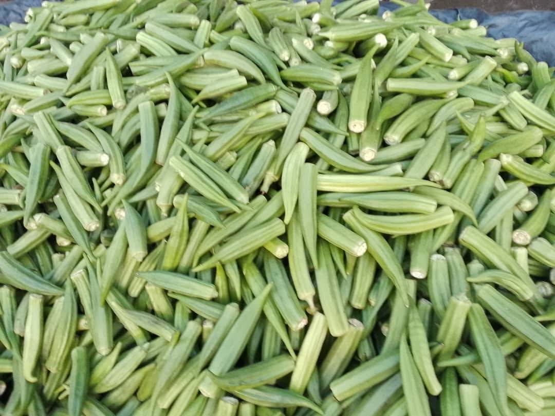 OKRA DELELE