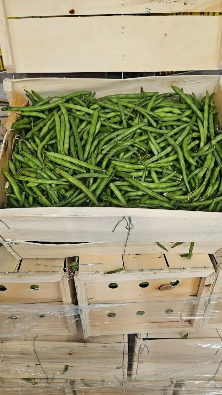 GREEN BEANS MEDA