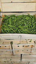 GREEN BEANS MEDA
