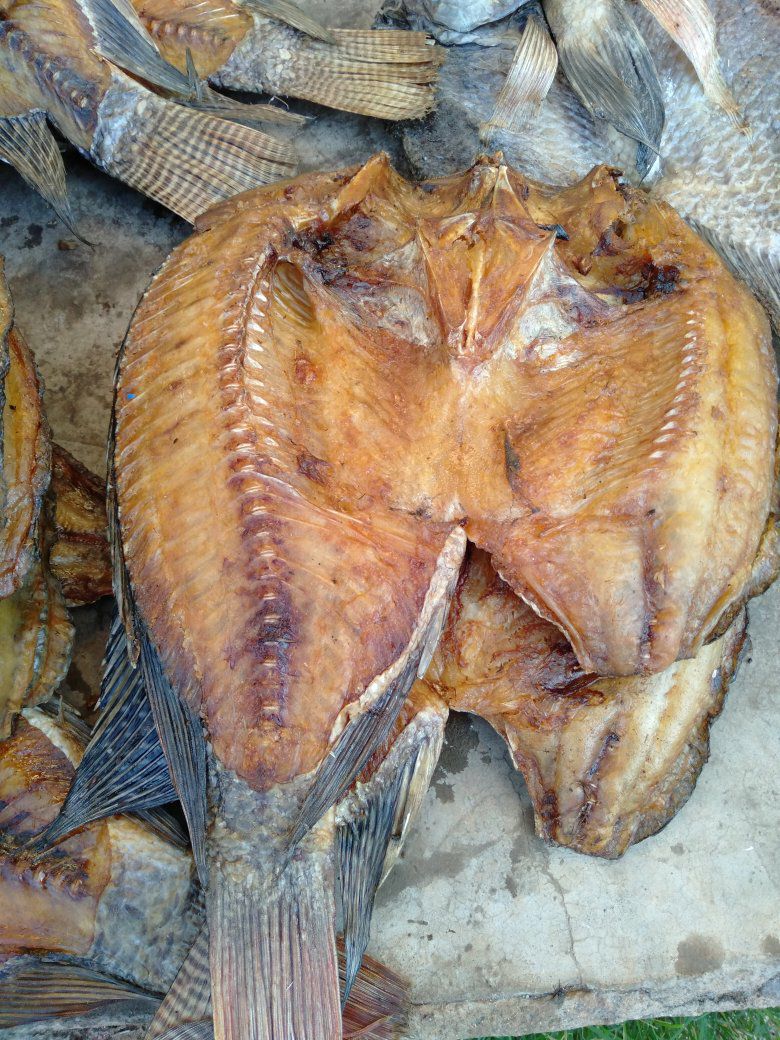 Dry Fish