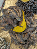 DRY FISH
