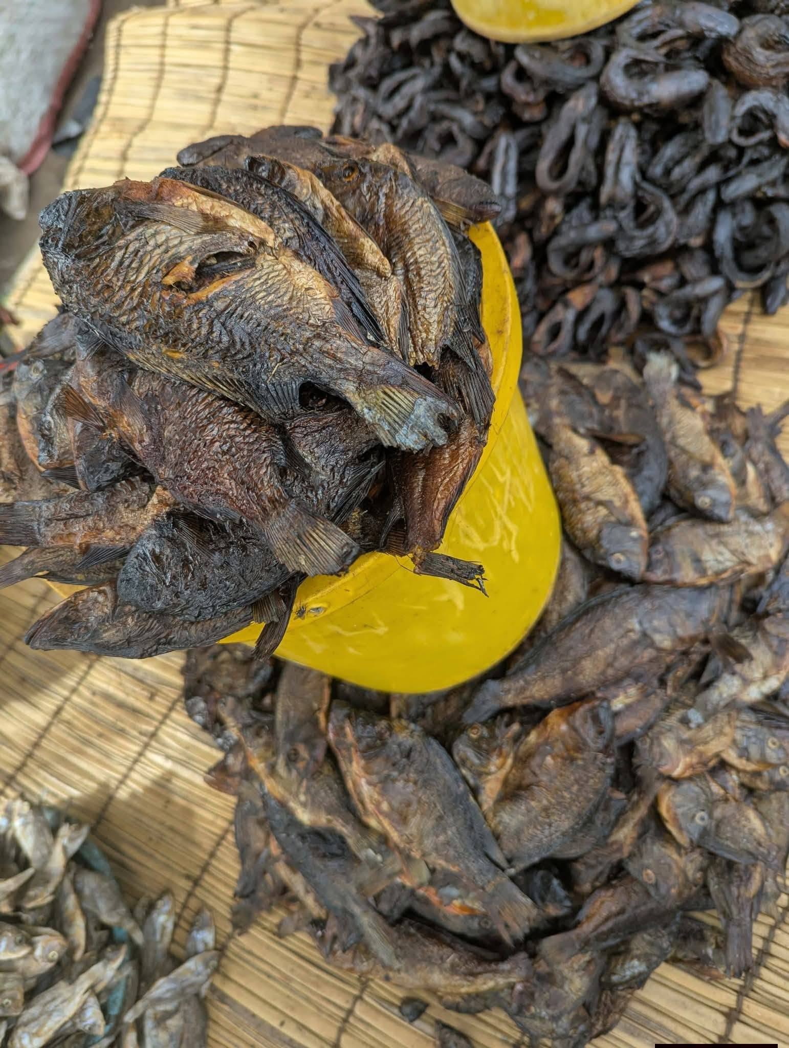 DRY FISH