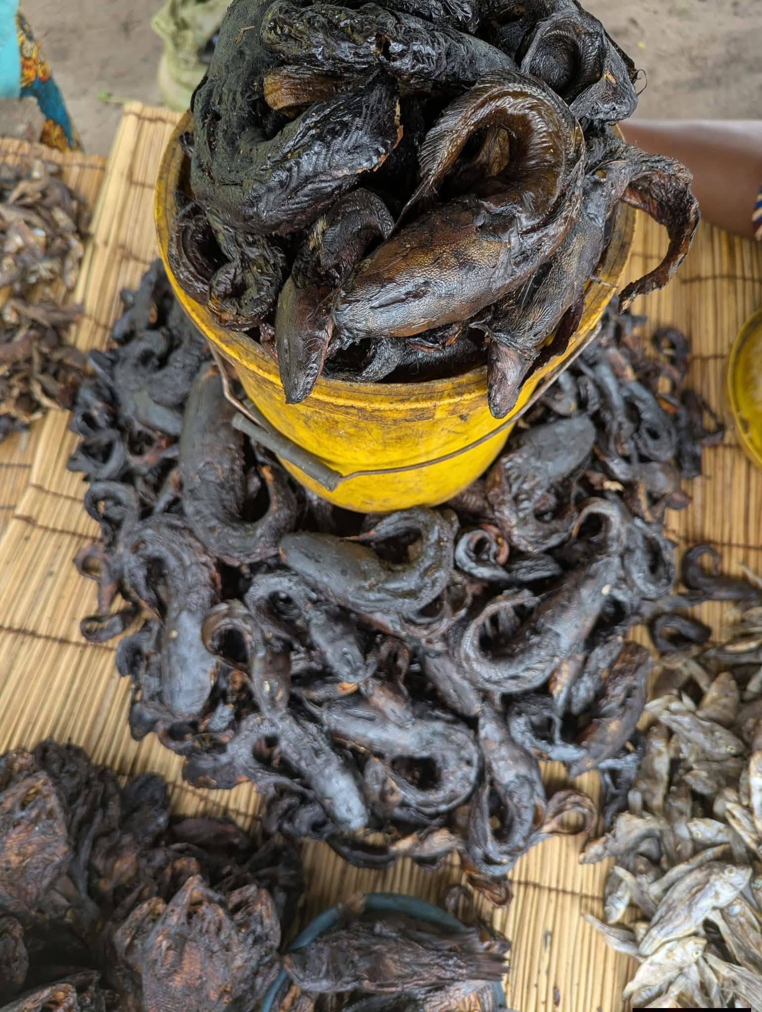 DRY FISH