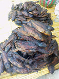 DRY FISH MINTESA