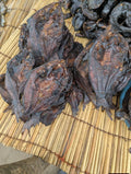 DRY FISH