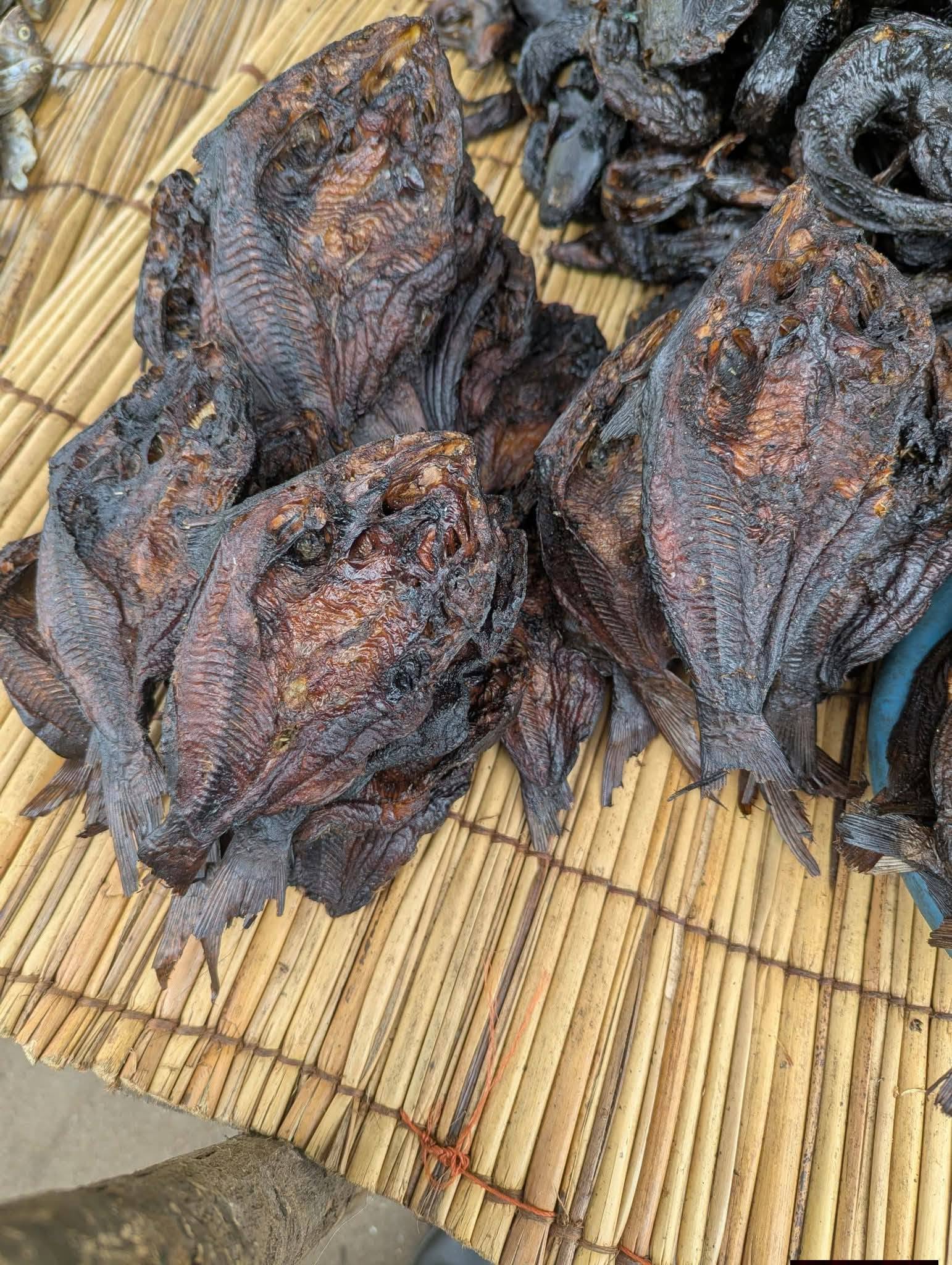 DRY FISH