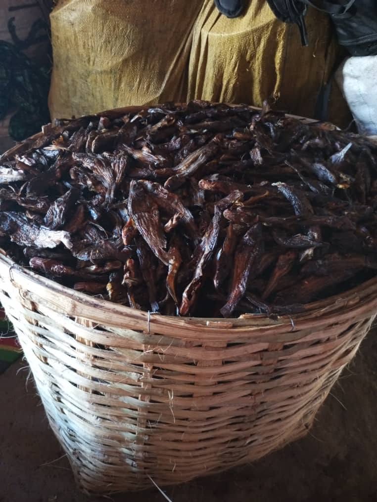 DRY FISH