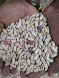 BEANS