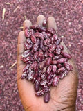 BEANS