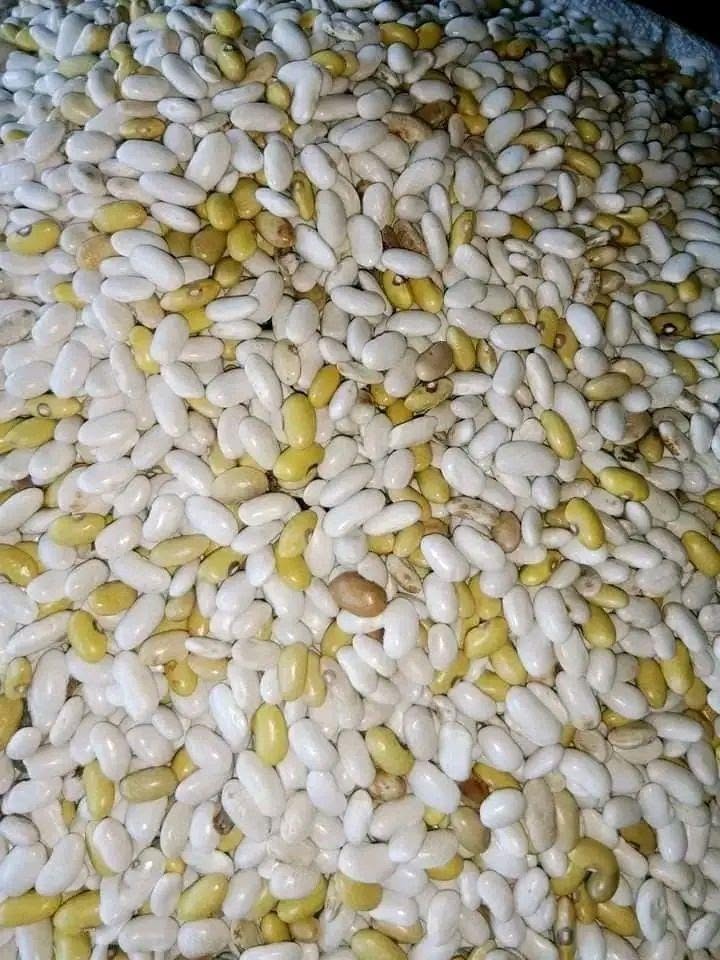 BEANS MEDA