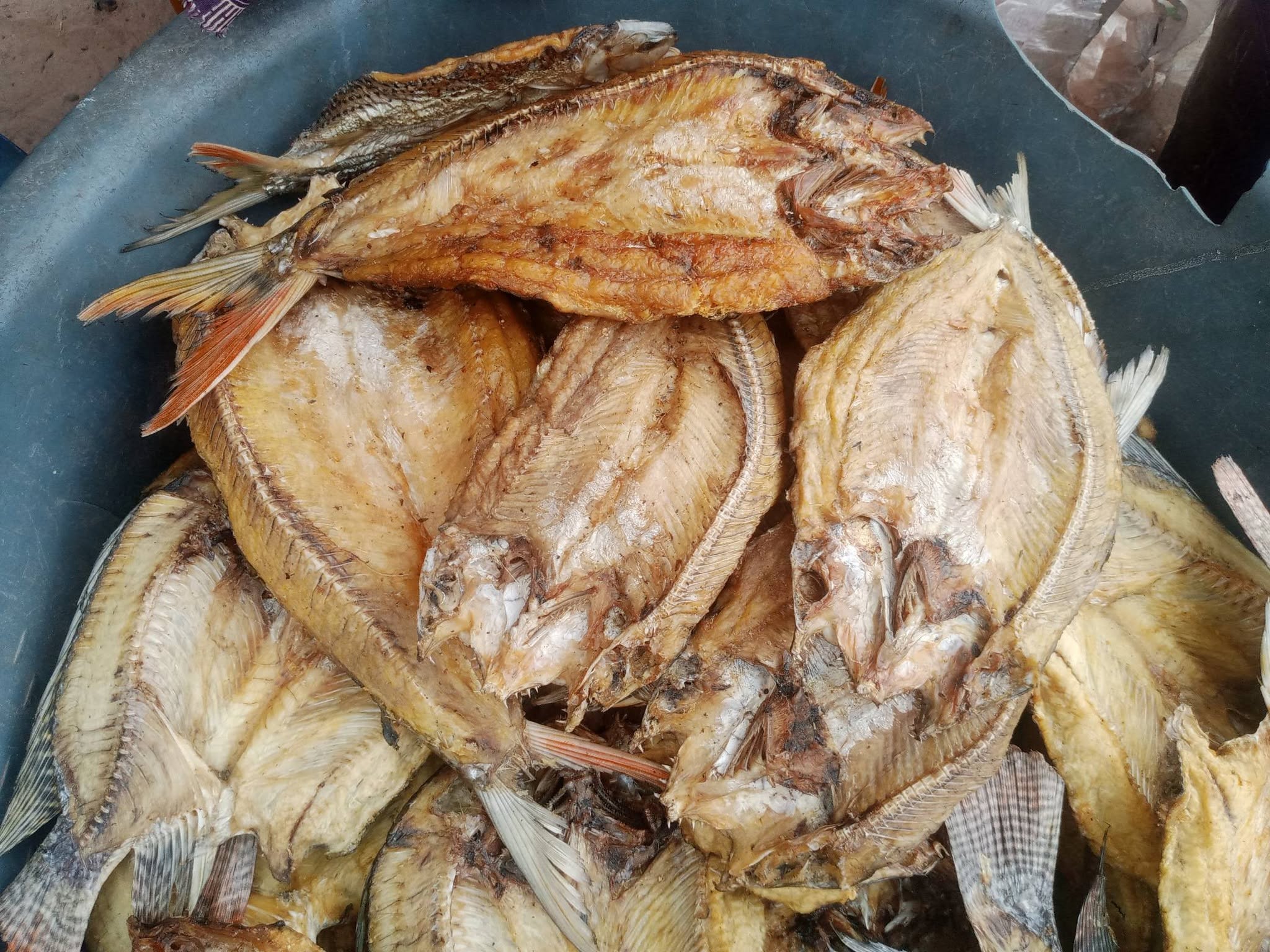 DRY FISH