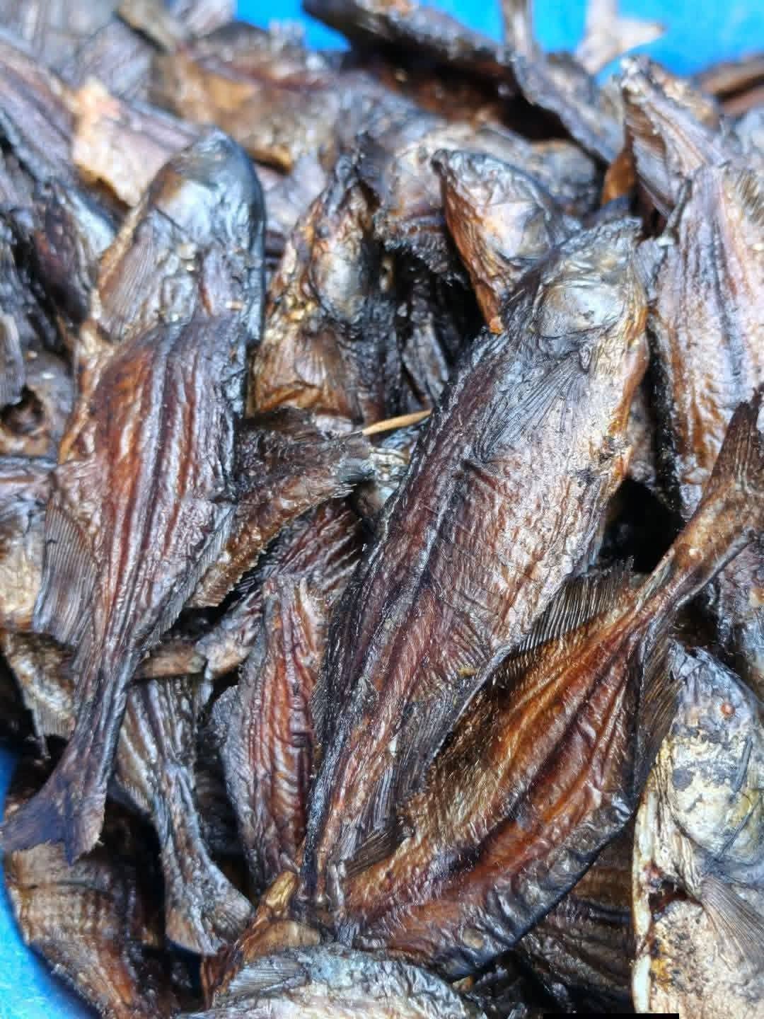 DRY FISH KAPENTA