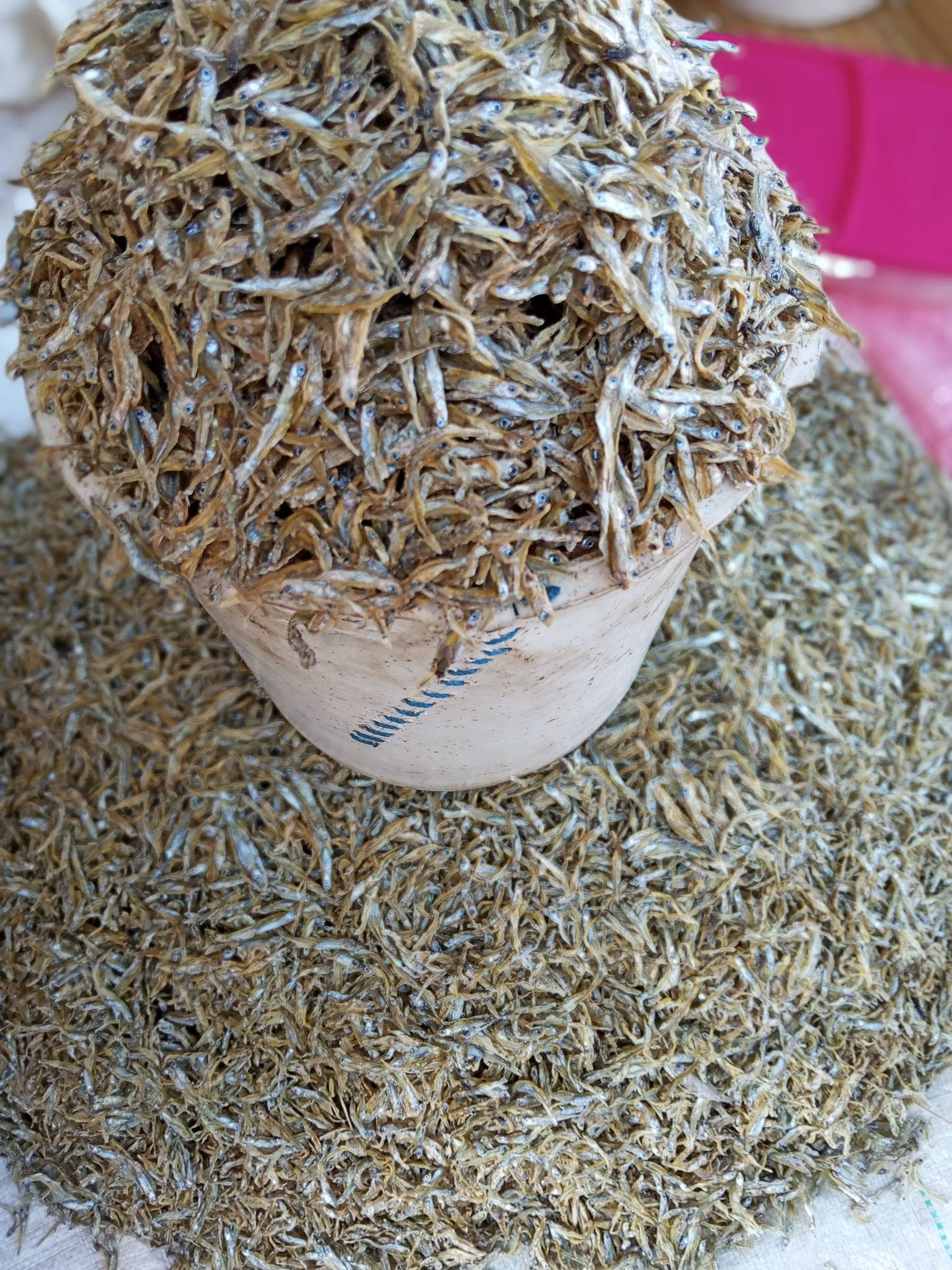 DRY FISH KAPENTA