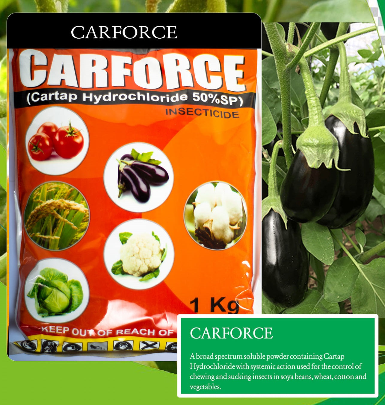 Carforce