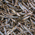 KAPENTA
