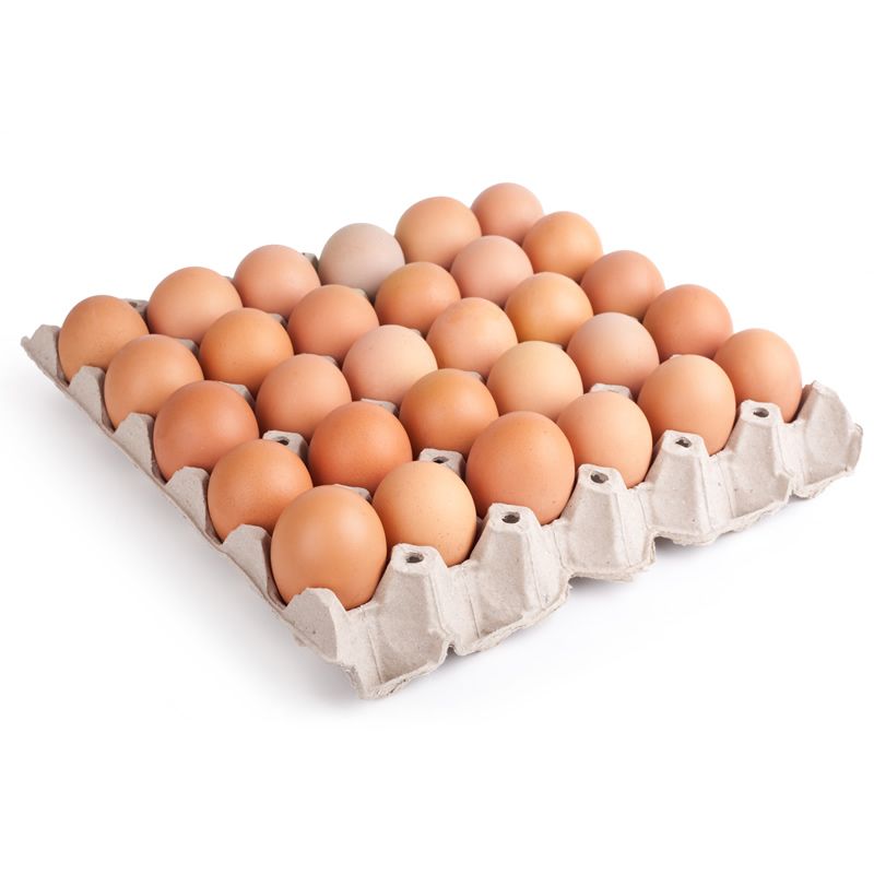 EGGS