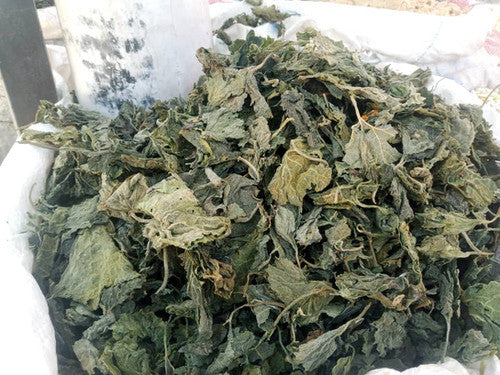 DRY PUMPKIN LEAVES