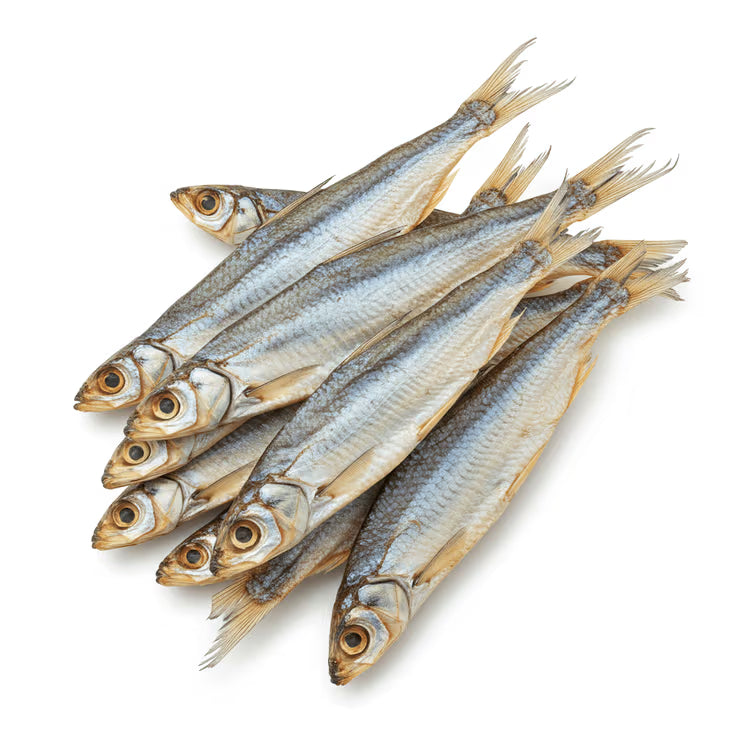 SMALL DRY FISH