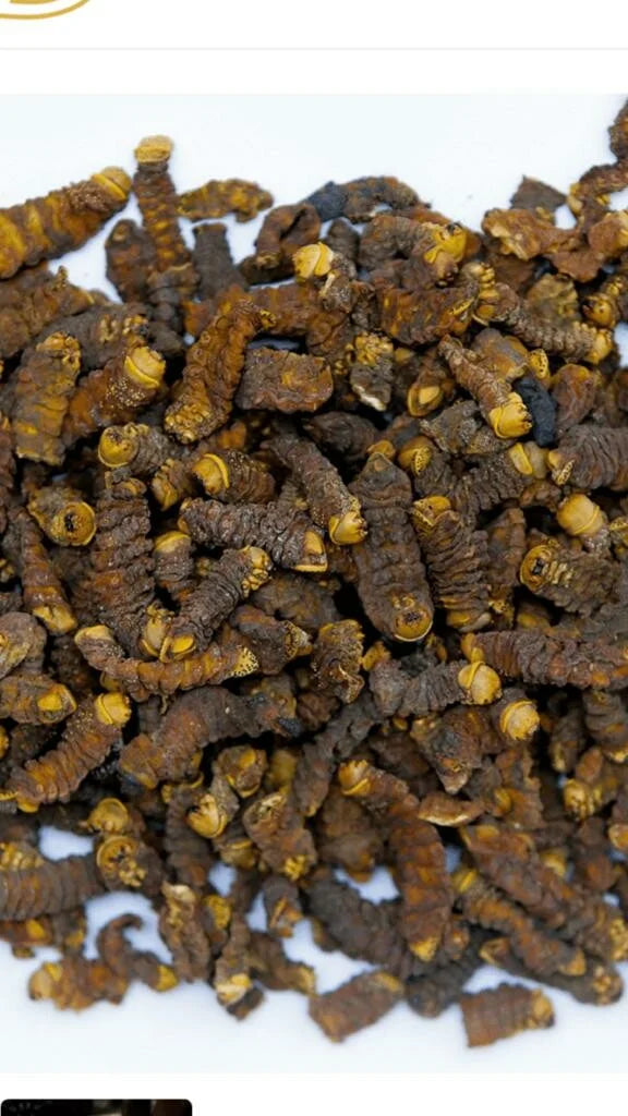 VINKUBALA
